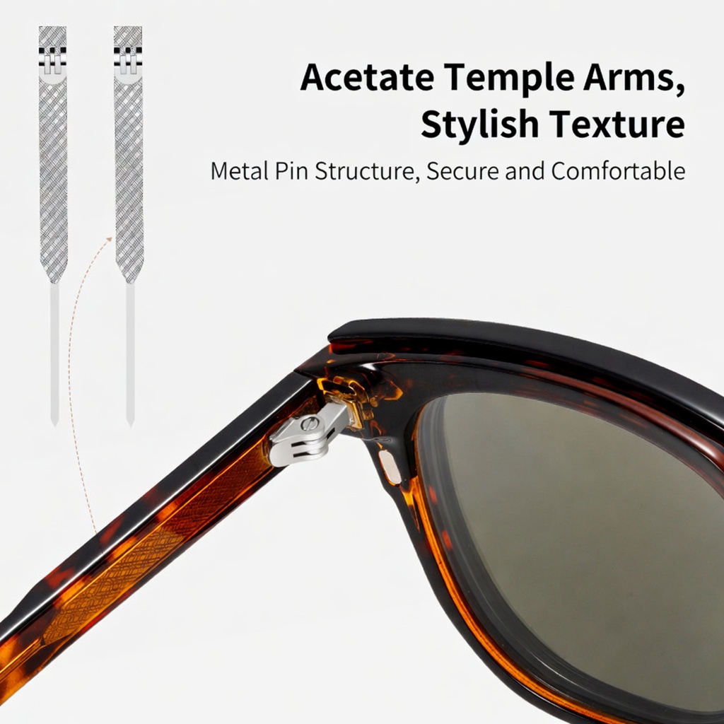 Eyeao Magnetic Sunglasses S34201